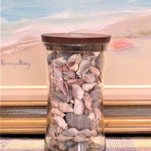 Glass Decanter full of Sea Shells